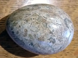 Fossilised Wood Egg (65mm) with Fossils 9F