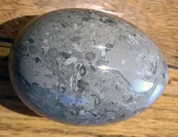 Fossilised Wood Egg (70mm) with Fossils 9E