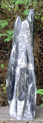 Orthoceras Sculpture M13 30cm (12 inches) High
