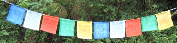 String of Twenty Five Buddhist Prayer Flags (Wind Horses)