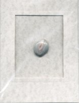 Banded Agate Greeting Card